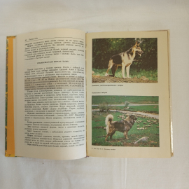 "Книга собаковода" М.Г. Псалмов, Росагропромиздат, Москва,1990. Картинка 4